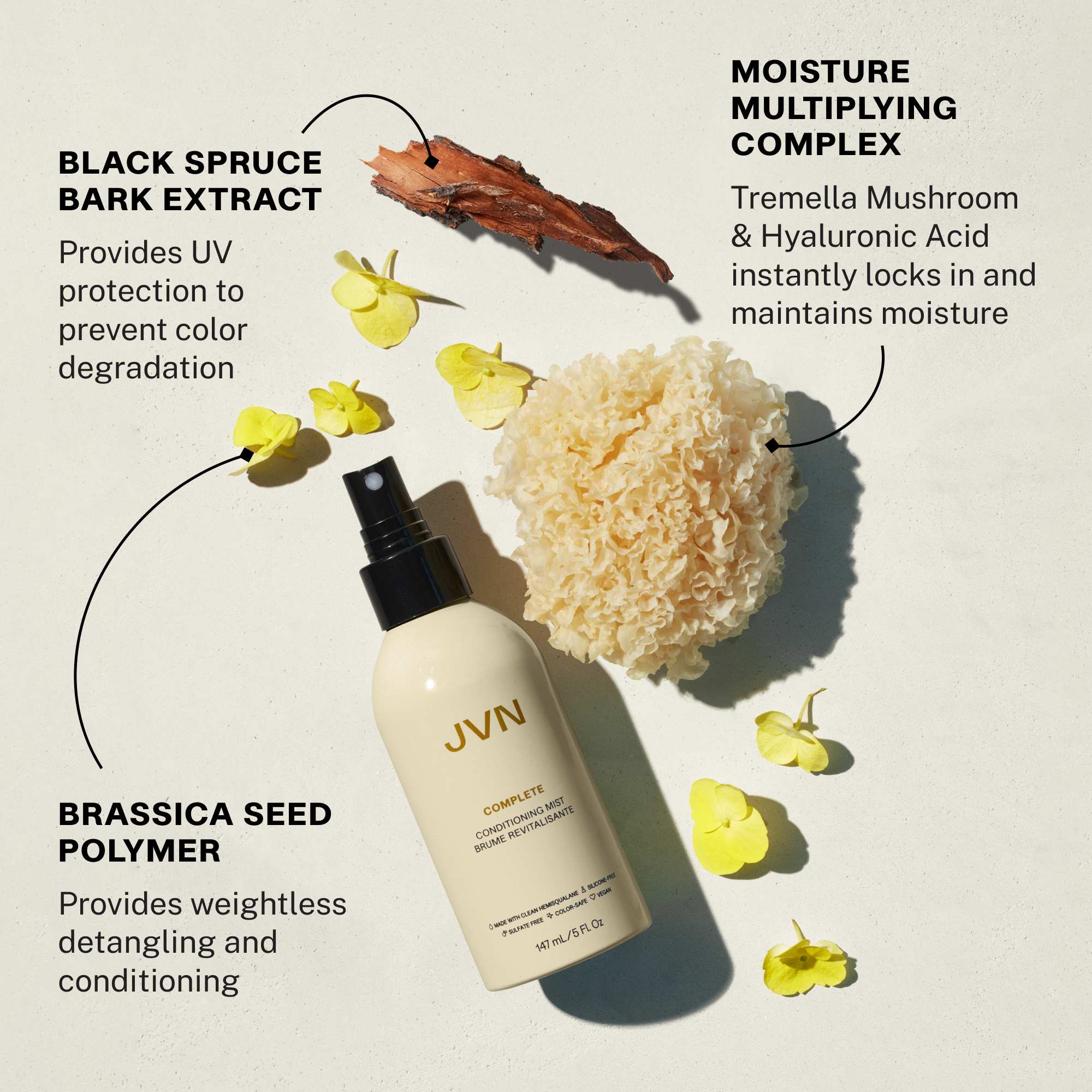 JVN Hair Complete Conditioning Mist ingredients laid out on a cream background with product in the middle. Black spruce bark extract provides UV protection to prevent color degradation. Brassica seed polymer provides weightless detangling and conditioning. Moisture multiplying - tremella mushroom and hyaluronic acid instantly locks in and maintains moisture.
